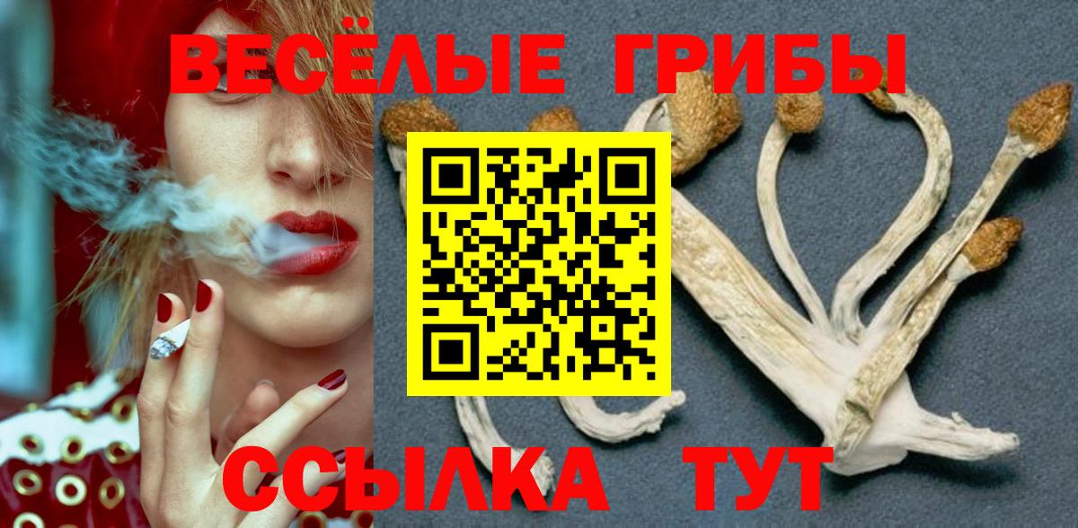 Мефедрон Кизилюрт